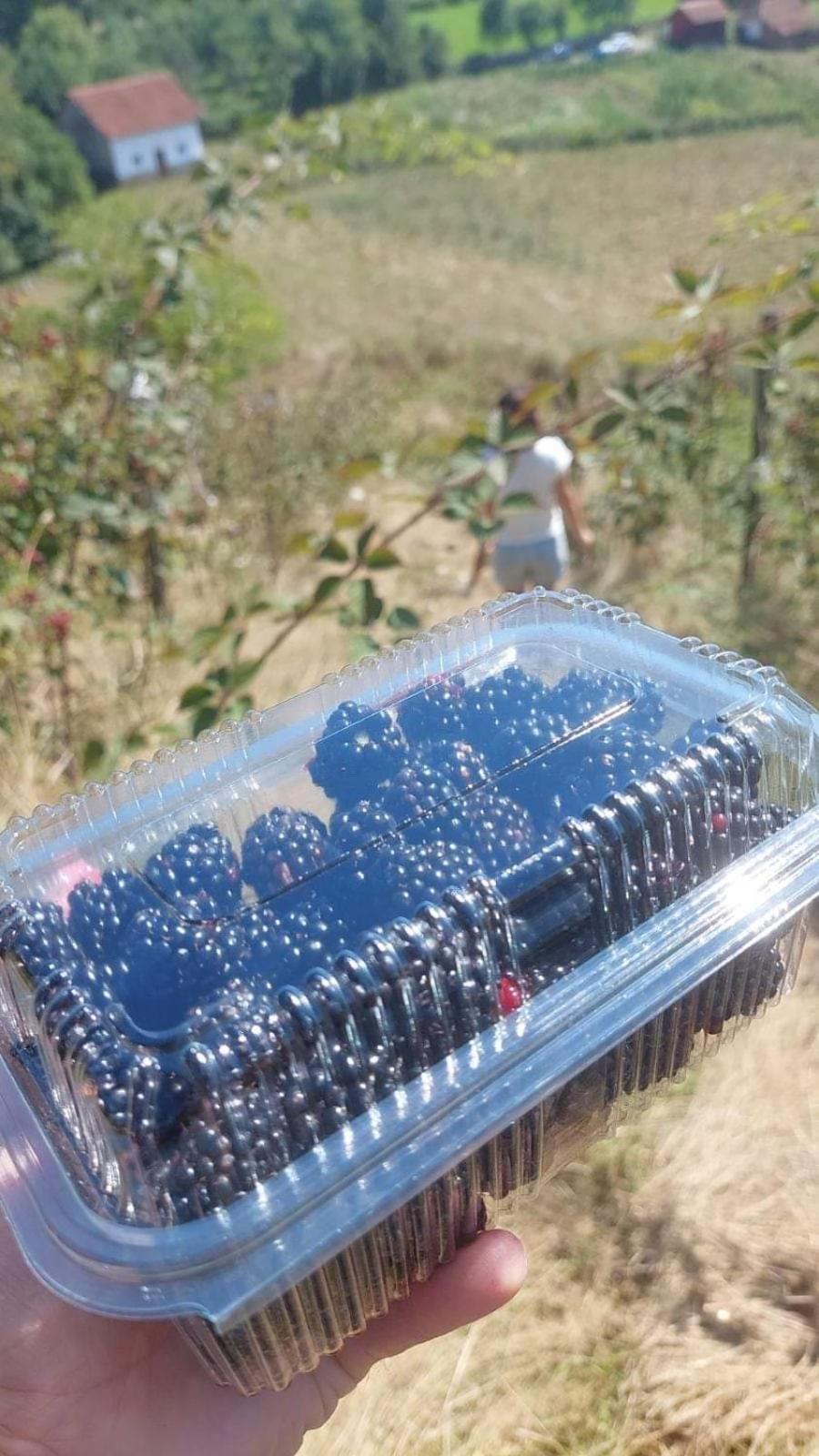 瓦列沃Prenociste Lelic别墅 外观 照片